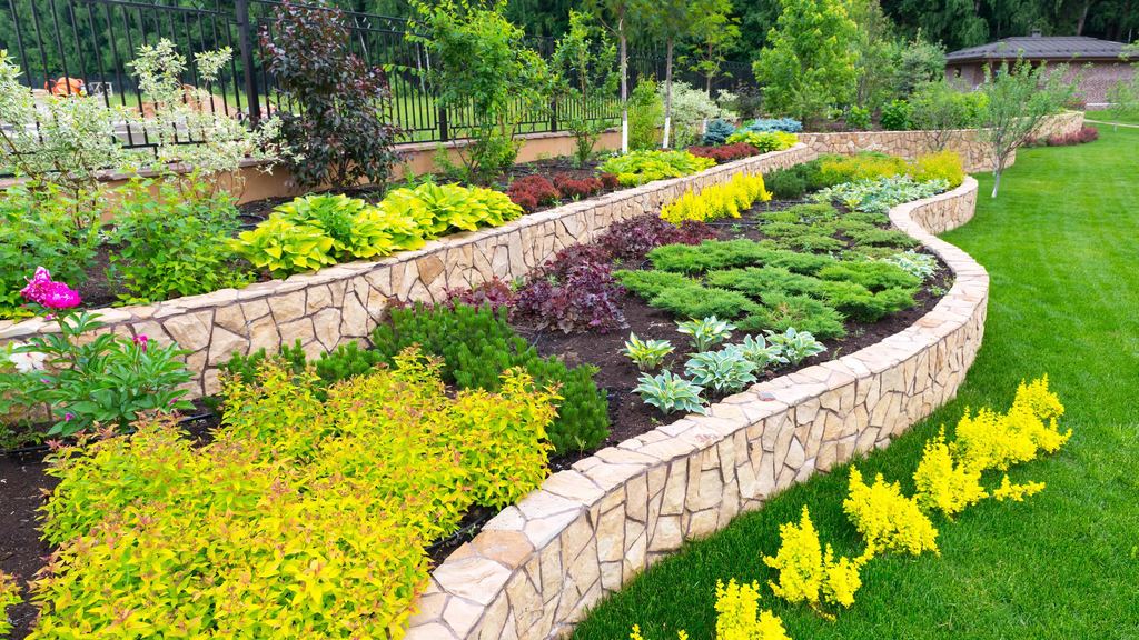 Landscaped garden beds with a natural stone retaining wall and flowering shrubs beside a freshly mown lawn
