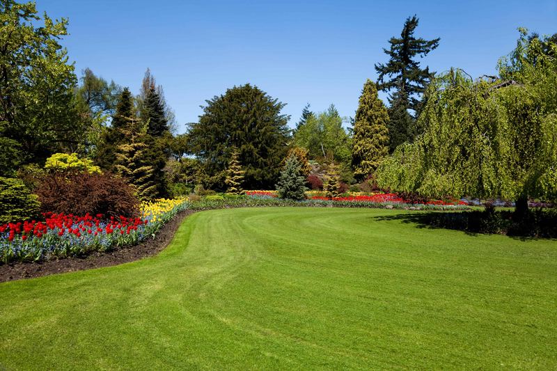 Broad manicured lawn with clean mowing stripes curving past a flower bed of red, yellow and blue tulips