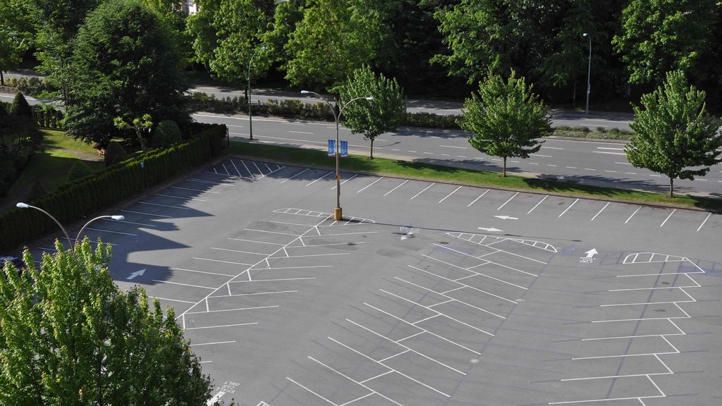 Empty commercial parking lot with swept asphalt, crisp white stall stripes and landscaped tree islands